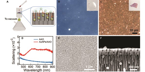 Light-Programmed Bistate Colloidal Actuation Based on Photothermal Active Plasmonic Substrate