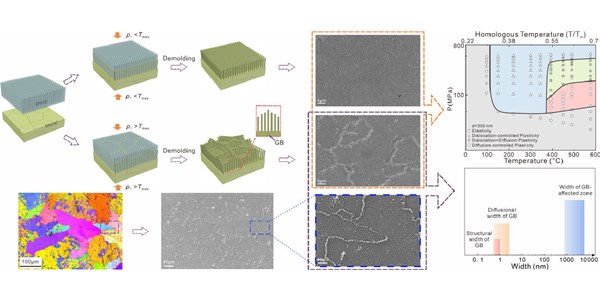 Experimental decoding of grain boundary-based plastic deformation