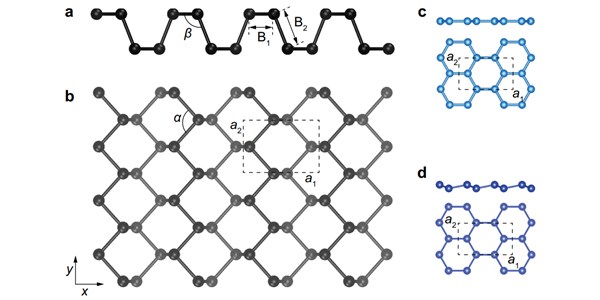 High-performance phosphorene electromechanical actuators