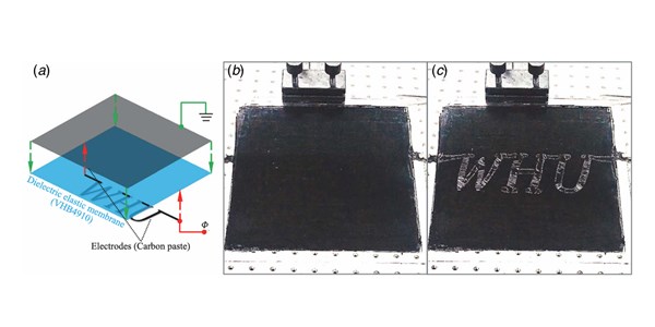 Arbitrarily Patterned Active Wrinkles in Highly Stretched Substrate-Free Dielectric Elastic Membrane