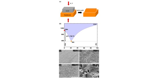 Nanomolding of Gold and Gold-Silicon Heterostructures at Room Temperature